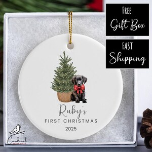 Personalized Flat-Coated Retriever Puppy&#39;s First Christmas Ornament | 3&quot; Round Ceramic Ornament with Gift Box