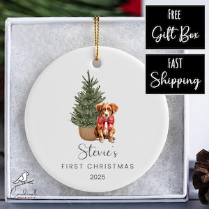 Personalized Nova Scotia Duck Tolling Retriever Puppy&#39;s First Christmas Ornament | 3&quot; Round Ceramic Ornament with Gift Box
