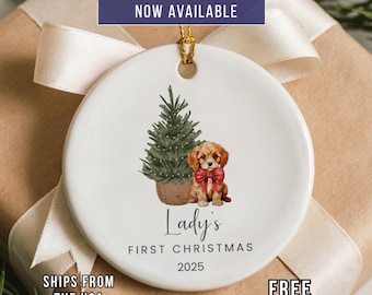Personalized Cavapoo Puppy's First Christmas Ornament: Ceramic Keepsake with Gift Box