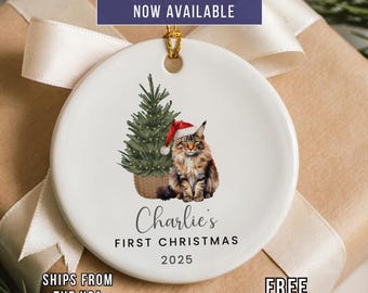 Personalized Maine Coon's First Christmas Ornament | Ceramic Keepsake with Gift Box