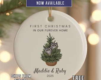 Personalized Cat First Christmas Ornament: Ceramic Keepsake, Grey Cat in Tree