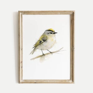May include: Watercolor painting of a small bird with yellow, green, and gray feathers perched on a thin branch. The bird is set against a white background and framed in a light brown wooden frame.