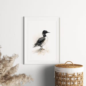 Common Loon standing on soft ground Watercolor Poster Print, waterbird Wall Art, Ink & Wash Nature Decor, Spring Floral Bird Gift for Home