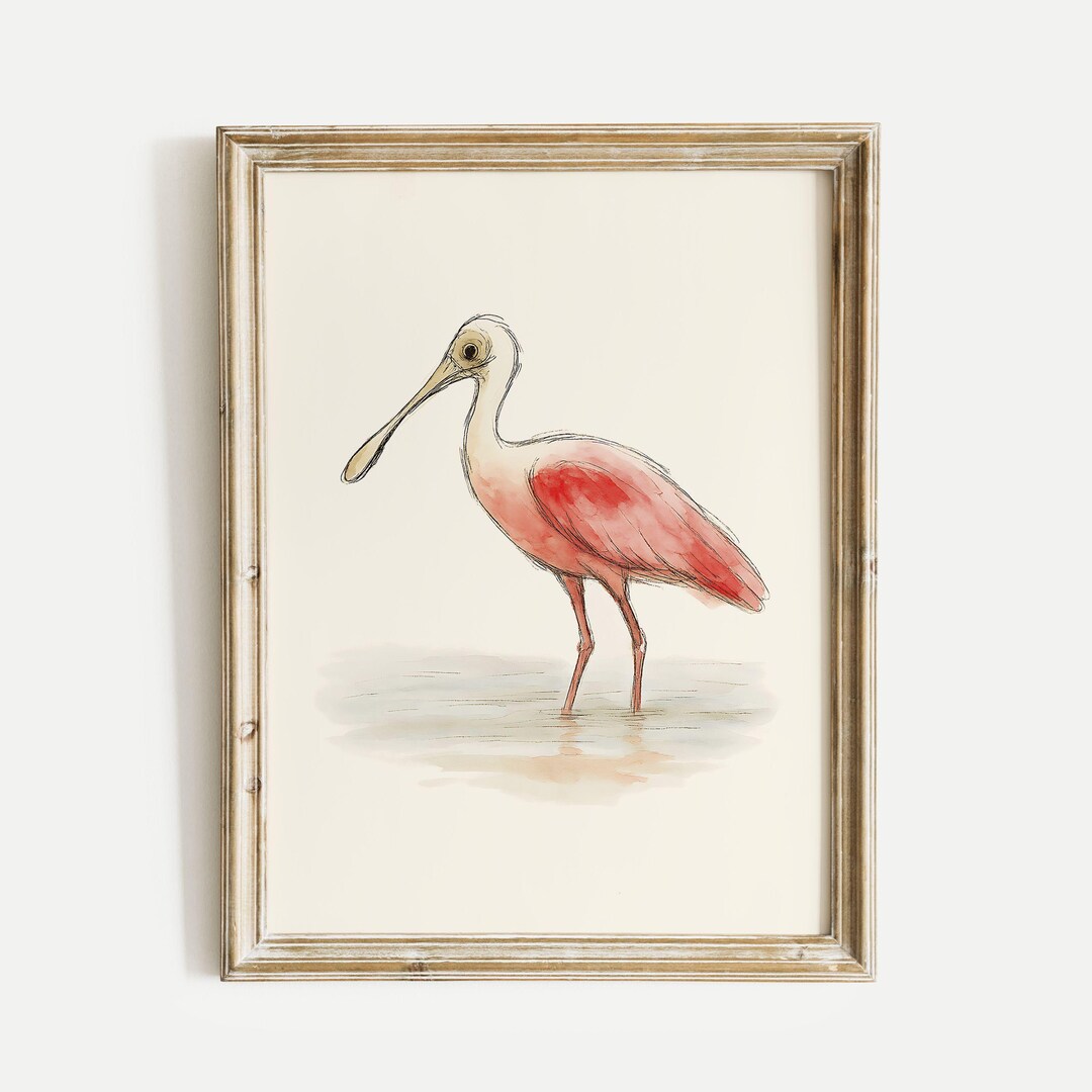 Roseate Spoonbill Watercolor Poster Print, Bird Lovers Wall Art, Ink ...