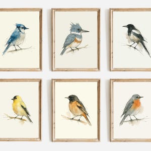 Watercolor Poster Print, Wall Art, Ink & Wash Nature Decor, Spring Floral Bird Gift for Home