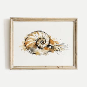 May include: Watercolor print of a nautilus shell in a wooden frame. The artwork features a spiral shell design with brown, beige, and black watercolor accents. The shell is the focal point, with delicate lines and splatters.