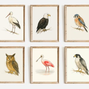 Watercolor Poster Print, Wall Art, Ink & Wash Nature Decor, Spring Floral Bird Gift for Home