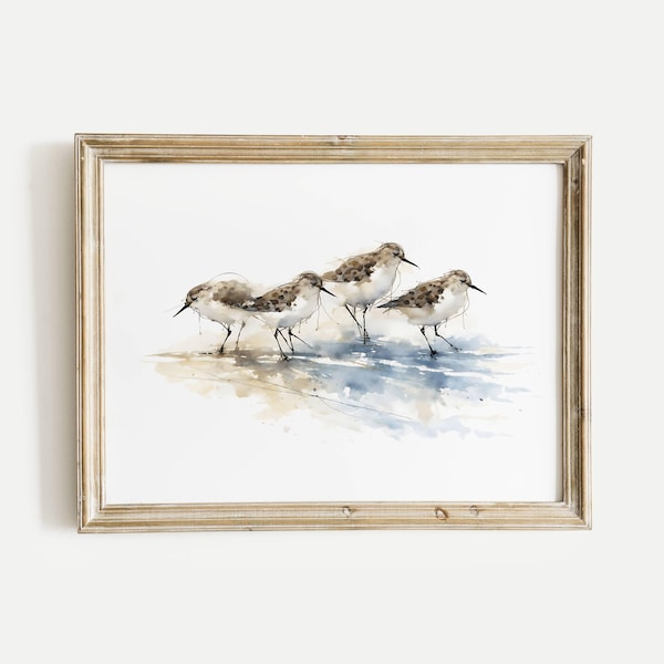 Sandpipers on Shoreline Watercolor Poster Print, Shorebirds Wall Art, Ink & Wash Nature Decor, Spring Floral Bird Lover Gift for Home