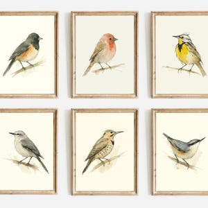 Watercolor Poster Print, Wall Art, Ink & Wash Nature Decor, Spring Floral Bird Gift for Home