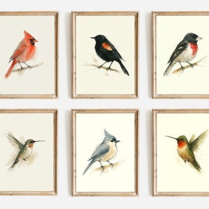 Watercolor Poster Print, Wall Art, Ink & Wash Nature Decor, Spring Floral Bird Gift for Home