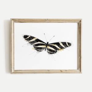May include: Watercolor painting of a butterfly with black and yellow striped wings, set against a white background. The butterfly is framed in a light brown wooden frame. The artwork has a delicate, artistic style.