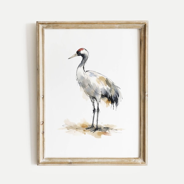 Red Crowned Crane standing on ground Watercolor Poster Print, Songbird Wall Art, Ink & Wash Nature Decor, Spring Floral Bird Gift for Home