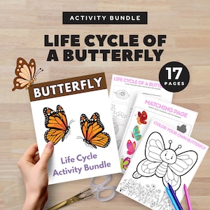 Pode incluir: Um pacote de atividades educativas sobre o ciclo de vida da borboleta. Inclui 17 páginas com desenhos para colorir, jogos de correspondência e exercícios de traçado. O texto "Pacote de atividades" e "Ciclo de vida de uma borboleta" são exibidos. Tesouras e lápis de cor também são visíveis.