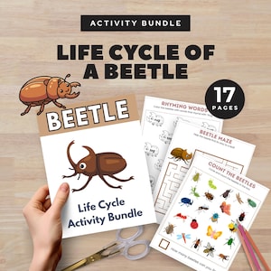 Pode incluir: Um conjunto de atividades educativas para crianças com o tema "Ciclo de Vida de um Besouro". O pacote inclui 17 páginas com diversas atividades, como um labirinto de besouros, exercícios de contagem e jogos de palavras rimadas. A capa mostra um besouro de desenho animado.