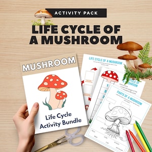Pode incluir: Um pacote de atividades sobre o ciclo de vida dos cogumelos com fichas educativas, ilustrações de cogumelos, incluindo um cogumelo vermelho com pintas brancas, diagramas para identificar partes e tarefas de sequência, com uma tesoura de metal.