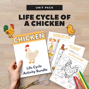 Pode incluir: Um pacote de atividades sobre o "Ciclo de Vida de uma Galinha". Inclui um livro com uma ilustração de galinha, cartões de sequenciamento e uma página para colorir com lápis de cor. O texto inclui "Chicken" e "Color by Number".