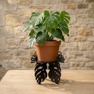 Könnte beinhalten: Eine Monstera-Pflanze in einem Terrakotta-Topf steht auf einem schwarzen Pflanzenständer aus Metall. Der Ständer hat eine kreisförmige Plattform, die von zwei großen, stilisierten Monstera-Blättern getragen wird. Der Hintergrund ist eine hellbraune Steinmauer.