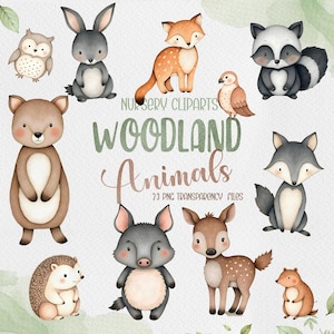 Imágenes prediseñadas de animales del bosque en acuarela, imágenes prediseñadas de bosques en acuarela, zorro, oso, ciervo, búho, conejo, zorrillo, mapache, ardilla, guardería
