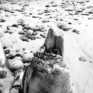 Zwart-wit kaartje van originele foto's van mijn reizen rond de kust van Norfolk. één individuele kaart.