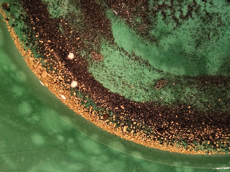 May include: A close-up of a green pan with a layer of black and gold specks. The gold specks are concentrated around the edge of the pan.