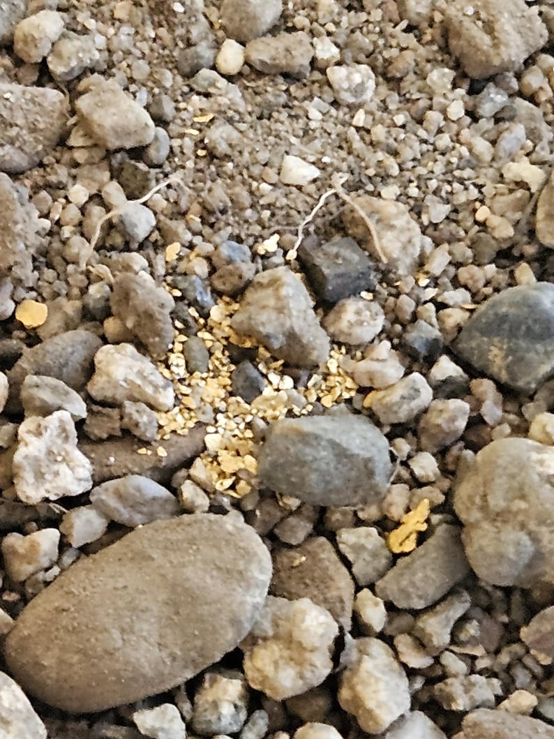 May include: Close-up of a pile of small, gray rocks with a small amount of gold flakes scattered throughout.