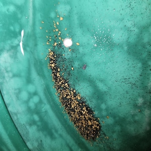 May include: A close-up of a green pan with a small pile of gold flakes and black sand in the bottom.