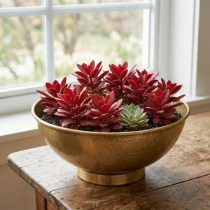 May include: A large, round, hammered brass bowl filled with dark red succulent plants and one smaller, pale green succulent. The bowl has a wide, shallow shape with a pedestal base, containing dark soil around the base of the plants.