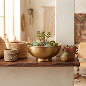 May include: A large, round, hammered brass bowl with a pedestal base containing a variety of small green succulents and cacti. The bowl sits on a dark wooden surface alongside two woven baskets, a small speckled ceramic vase, and a terracotta pot.
