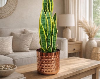 Hammered Copper Succulent Planter, Moroccan Rustic Indoor Plant Pots