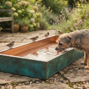 Puede incluir: Un abrevadero rectangular de cobre con un acabado de pátina verde azulado desgastado. El recipiente está lleno de agua y un perro pequeño bebe de un lado, mientras varios pájaros marrones se posan en el borde del contenedor de metal.