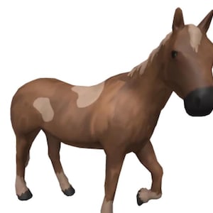 Könnte beinhalten: Ein braunes und weißes Pferd mit einem weißen Fleck auf dem Rücken. Das Pferd steht auf einem weißen Hintergrund.