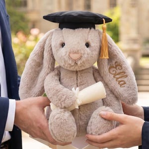 University Graduation Gift, Custom Name Stuffed Bunny, Class of 2026 Plushie, Personalized Senior Gift, Masters Degree Grad Gift