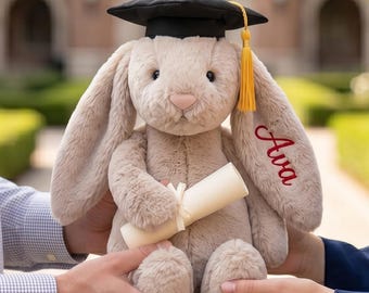 Preschool Graduation Gift for Daughter, Personalized Ava Plush, Class of 2026 Congrats Grad, Custom Embroidered Bunny, Pre-K Graduation