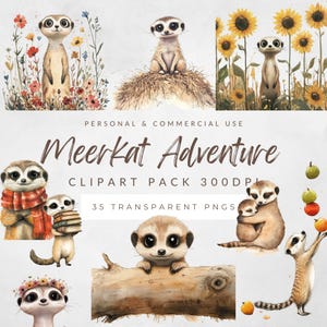 Niedliche Erdmännchen Clipart Bundle | Aquarell Safari Tiere | Digitaler Download zur kommerziellen Nutzung | PNG-Set | Kinderbuch Illustrationen