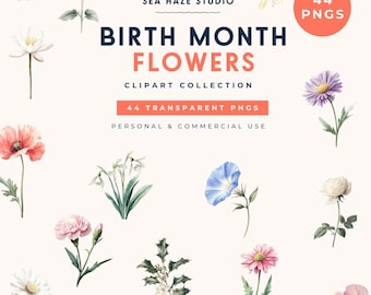 Birth Month Flowers Clipart | Floral PNG Bundle | Botanical Clipart | Commercial Use