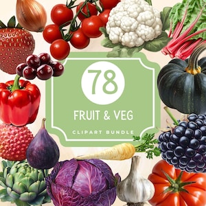 Fruit and Vegetable Clipart | Food Clipart | Farmers Market | Healthy Food PNG | Commercial Use - Instant Download | Semi Realistic Veg