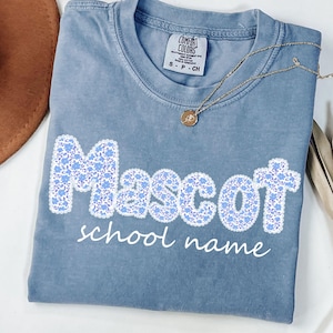 Komfort Farben Schule Maskottchen Shirt: Personalisierte Team Spirit Tee
