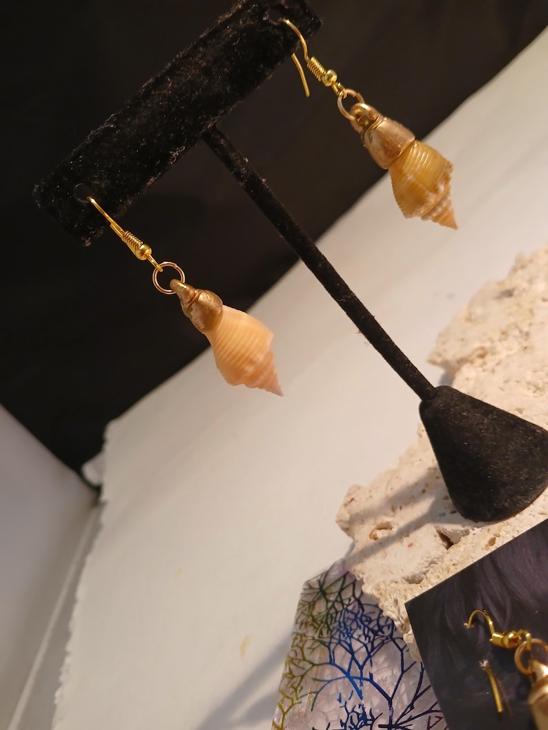 Real Shell Earing Real Florida Shell Earrings Gold Trim, Lightweight Mermaid Jewelry - Etsy