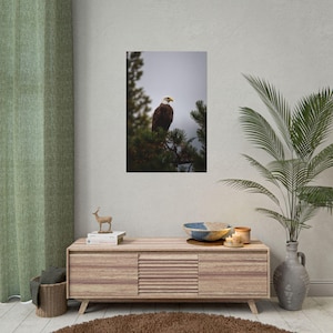 Eagle Poster, Wildlife Wall Art, Nature Lover Gift, Bald Eagle Decor, Bird Watcher Gift, American Eagle Print