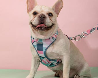 Reflective Dog Harness and Leash Set: Adjustable, Breathable, Durable