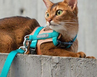Adjustable Leather Cat Harness & Leash Set – Soft, Escape-Proof, Stylish for Outdoor Walks