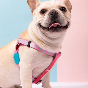 Y-Style No-Pull Dog Harness: Adjustable, Lightweight, Durable