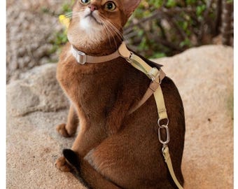 Adjustable Leather Cat Harness & Leash Set: Soft Nylon, Escape-Proof