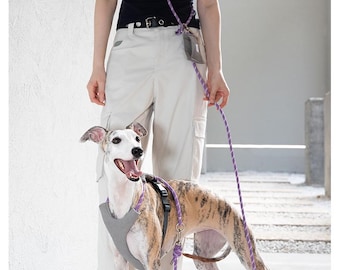 Soft Dog Harness and Leash Set, Plush Adjustable Puppy Harness, Cute Teddy Bear Dog Walking Harness, Small Dog Vest for Daily Walks