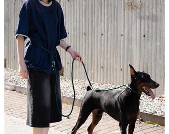 No-Pull Dog Training Rope Collar & Hands-Free Leash Set, Escape Proof Martingale Lead