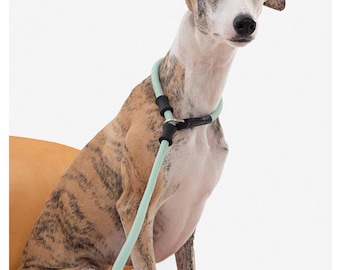 Adjustable Dog Training Leash: Durable Nylon Rope with Leather Handle