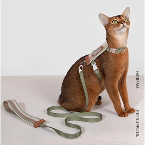 Striped Cat Harness with 1.3m Leash: Adjustable, Escape Proof