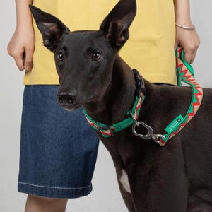 Adjustable Dog Collar Leash Set – Strong, Durable,  Stylish – 3 Colors Available!