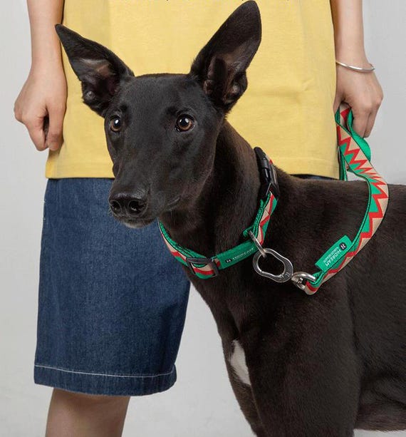 halsband anione PetTec Hundehalsband aus Neopren & Nylon mit reflektierenden Nähten, rot main image 1