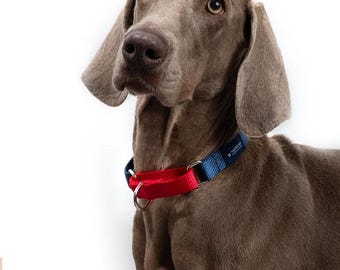 Collar Martingale para perros con absorción de impactos: Collar de entrenamiento de nailon ajustable